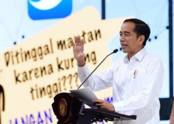 Saatnya Indonesia Merajai Pasar Ekonomi Digital Dunia