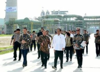 Miliki Industri Serat Kayu Jadi Kain, Indonesia Kini Setara Eropa dan Amerika
