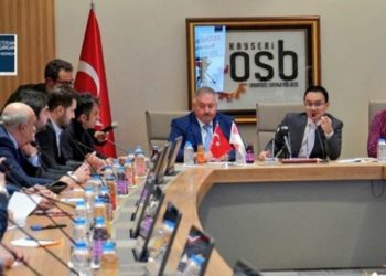Tahun ini, Indonesia-Turki Tuntaskan Perundingan IT CEPA