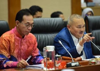 Parlemen Indonesia Dukung Penuh Pengembangan N219 dan Teknologi Drone