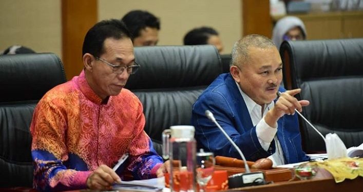 Parlemen Indonesia Dukung Penuh Pengembangan N219 dan Teknologi Drone