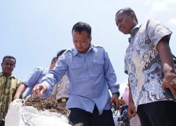 Ditengah Wabah Corona, Indonesia Ekspor 53 Ton Rumput Laut ke China