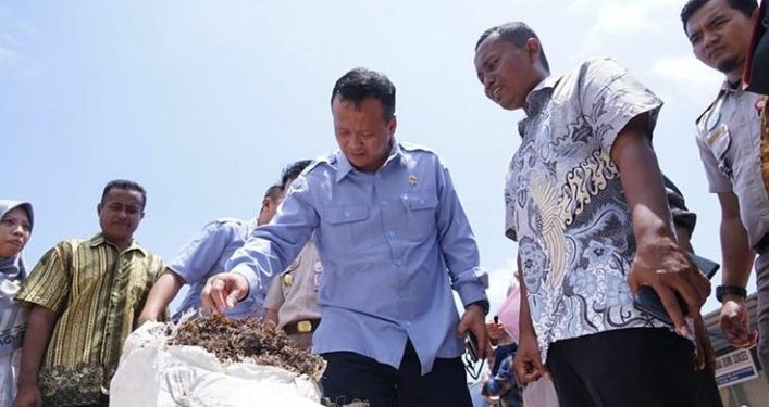 Ditengah Wabah Corona, Indonesia Ekspor 53 Ton Rumput Laut ke China
