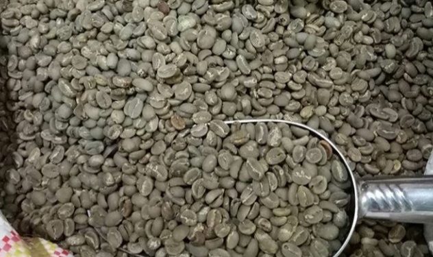 Kopi Arabika dari Gowa Siap Menembus  Pasar Eropa