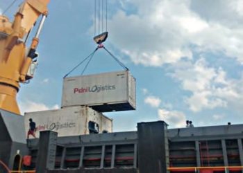 Ditengah Pandemi Coronavirus, Indonesia Ekspor 15 Ton Gurita ke Jepang ﻿