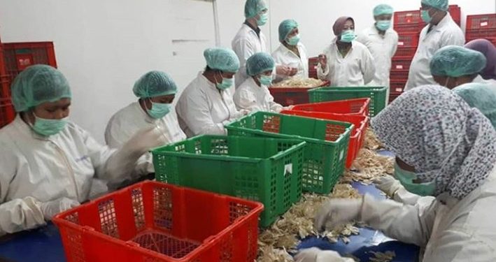 Hadapi Resesi, Industri Pengolahan Ikan Jadi Tumpuan Baru Indonesia
