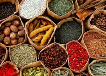 Biodiversity Melimpah, Indonesia Peluang Punya Industri Obat Herbal Terstandar