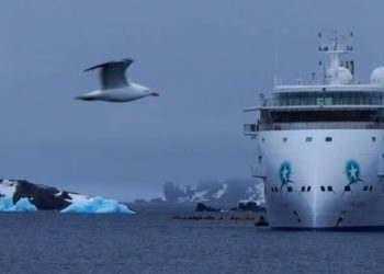 128 Wisatawan di Kapal Pesiar Greg Mortimer Terinfeksi Coronavirus
