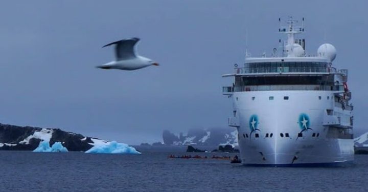 128 Wisatawan di Kapal Pesiar Greg Mortimer Terinfeksi Coronavirus