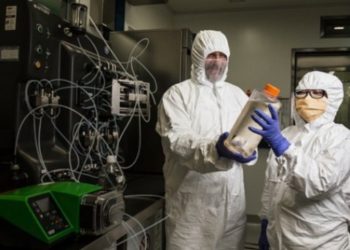 Ilmuwan Australia Berhasil Lacak Virus Corona di Kawasan Geografis