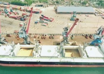 Indonesia Ekspor 265,77 Ton Produk Hortikultura Ditengah Pandemi Covid-19
