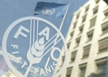 FAO: Efek Covid-19, Harga Pangan Dunia Terus Menurun