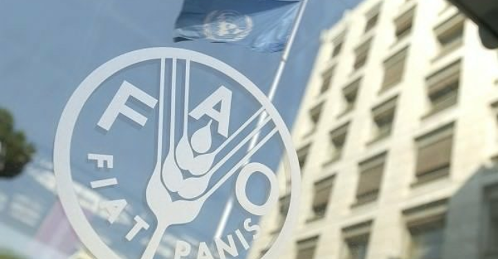 FAO: Efek Covid-19, Harga Pangan Dunia Terus Menurun