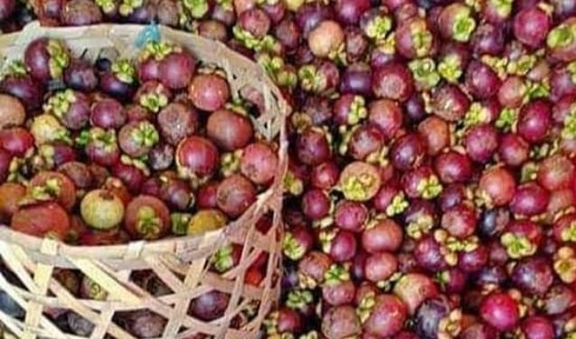 Ekspor Manggis Indonesia Capai 45,33 Ribu Ton, Terbesar ke China