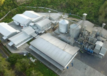 Seger Agro Nusantara Ekspor 13.500 Ton Jagung ke Filipina