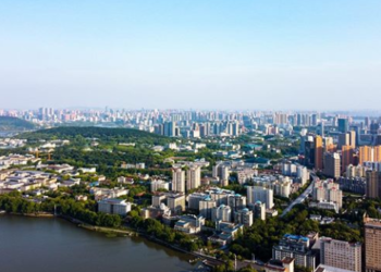 Wuhan Larang Perburuan dan Konsumsi Satwa Liar