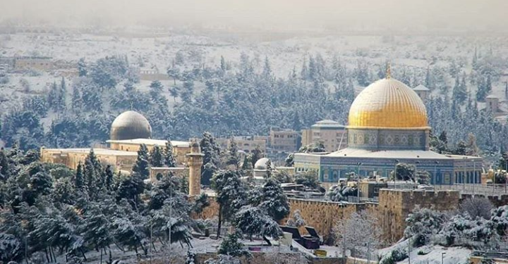 Erdogan Bertekad Lindungi Palestina dari Aneksasi Israel