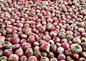 36 Ton Bawang Merah Ilegal Asal Malaysia Lolos Masuk Indonesia