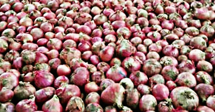 36 Ton Bawang Merah Ilegal Asal Malaysia Lolos Masuk Indonesia