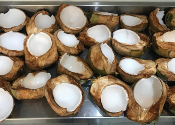 Produk Kelapa Indonesia Diburu Oleh Pasar Global