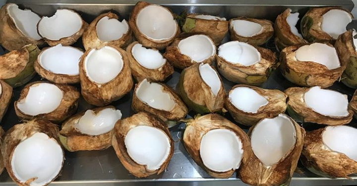 Produk Kelapa Indonesia Diburu Oleh Pasar Global