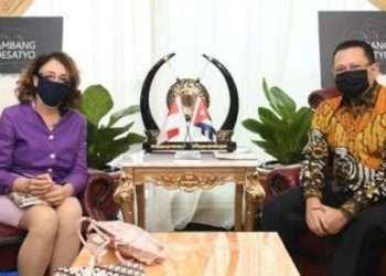 Indonesia-Kuba Bangun Kolaborasi Tangani Covid-19