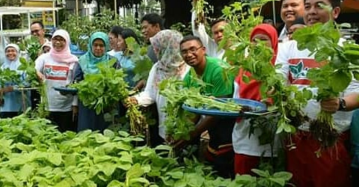 Urban Farming di Jakarta, Gairah Baru di Tengah Covid-19