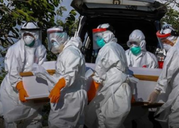 Kasus Covid-19 di Indonesia Tembus 50 Ribu, 2.620 Meninggal
