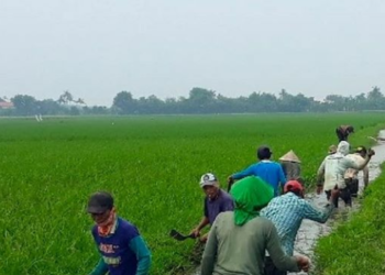 Inovasi Smart Village di Indonesia Jadi Inspirasi di Asia Pasifik