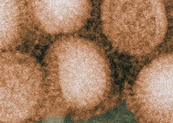 Virus Flu Baru Muncul di China, Berpotensi Jadi Wabah Baru
