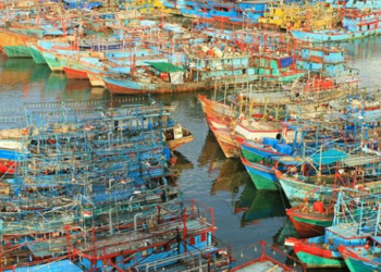 367,63 Ton Ikan Sudah Diekspor dari Muara Baru Jakarta ke Pasar Asia