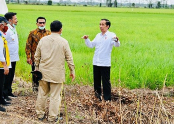 Jokowi Amanahkan Prabowo Pimpin Pengembangan Lumbung Pangan Indonesia