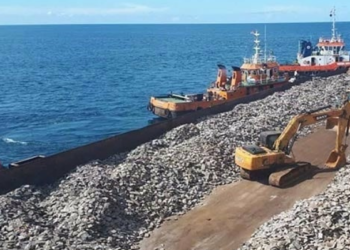 Gelombang TKA China di Tengah Ambisi Indonesia Merajai Baterai Lithium Global