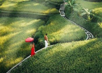 Ubud Bali Masuk Deretan 25 Kota Wisata Terbaik di Dunia 2020