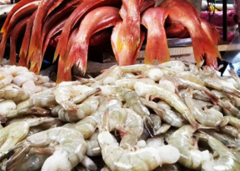 Usai Ikan Salmon, China Sebut Udang Impor Jadi Perantara Covid-19