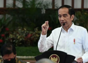 OPINI: Ecocide, Oligarki dan Keberanian Jokowi