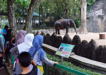 Ragunan Dirancang Jadi Pusat Ekowisata Terbaik di Asia Tenggara