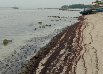 Kepulauan Seribu Tercemar Minyak, PHE Oses Pastikan Bukan dari Sumur YYA-1