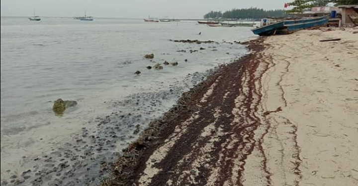 Kepulauan Seribu Tercemar Minyak, PHE Oses Pastikan Bukan dari Sumur YYA-1 1 Kepulauan Seribu Tercemar Minyak, PHE Oses Pastikan Bukan dari Sumur YYA-1