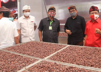 Bali Kapalkan 10 Ton Kakao Fermentasi ke Jepang