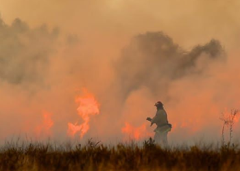 3 Tewas, 50 Ribu Rumah Terancam Kebakaran Hutan di California Utara