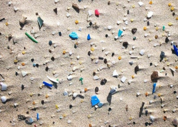 Polusi Mikroplastik Merusak Spesies Mikro Organisme dan Kesuburan Tanah