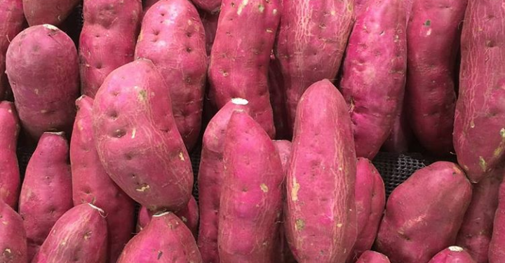 Bandung Kapalkan 30 Ton Ubi Jalar ke Hongkong