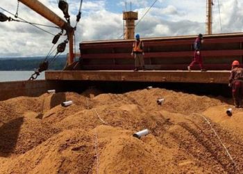 Indonesia Kapalkan Bungkil Kelapa dari Manado Senilai Rp17,7 Miliar ke India