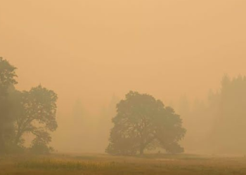 Dikepung Polusi Asap, Taman Nasional Yosemite Ditutup