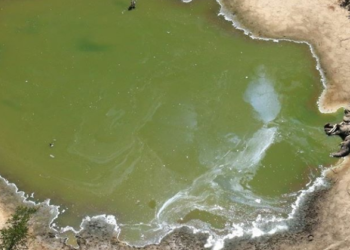 Kematian Ratusan Satwa Gajah di Botswana Masih Misterius