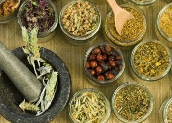 Indonesia Jadi Pusat Agro Biodiversitas Dunia