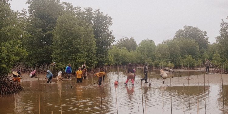 Indonesia Kehilangan 54 Persen Hutan Mangrove