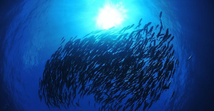 Pemanasan Global Picu Kenaikan Suhu di Laut Dalam