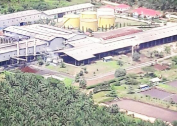 Perusahaan Indonesia Dipercaya Pasok Cangkang Sawit untuk PLT Biomassa di Jepang